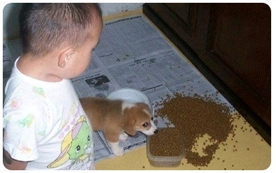 ̹ Ŭϸ    ֽϴ.