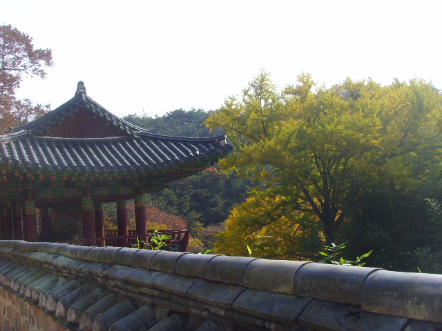 �̹����� Ŭ���ϸ� ������ ���� �� �ֽ��ϴ�.