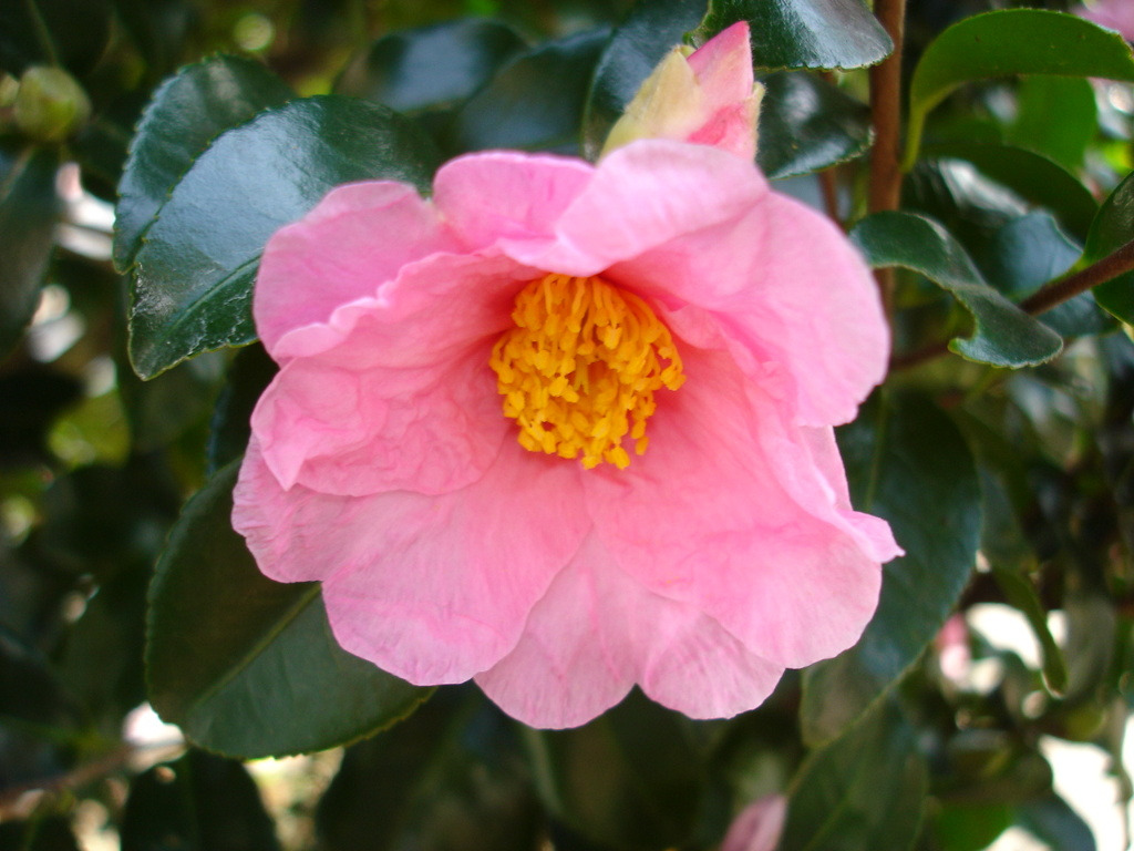 �̹����� Ŭ���ϸ� ������ ���� �� �ֽ��ϴ�.