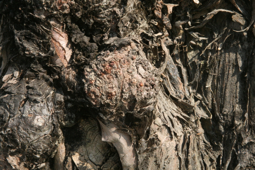 �̹����� Ŭ���ϸ� ������ ���� �� �ֽ��ϴ�.