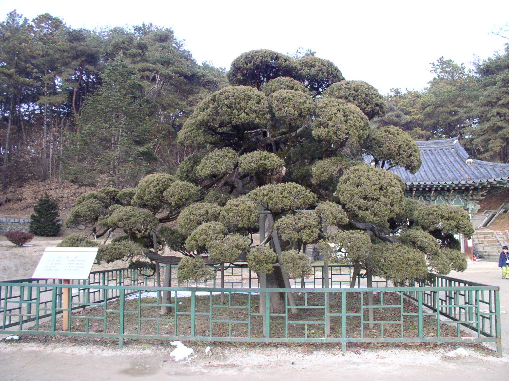 �̹����� Ŭ���ϸ� ������ ���� �� �ֽ��ϴ�.