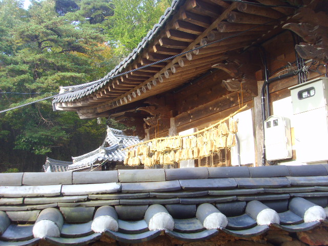 �̹����� Ŭ���ϸ� ������ ���� �� �ֽ��ϴ�.