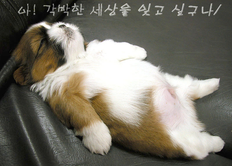 아 이미지