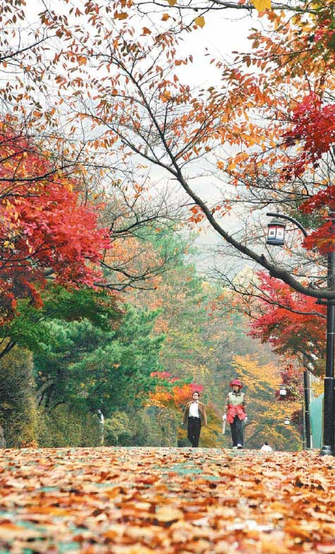 정이용원 이미지