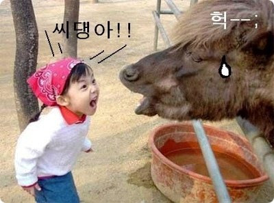 바바 이미지