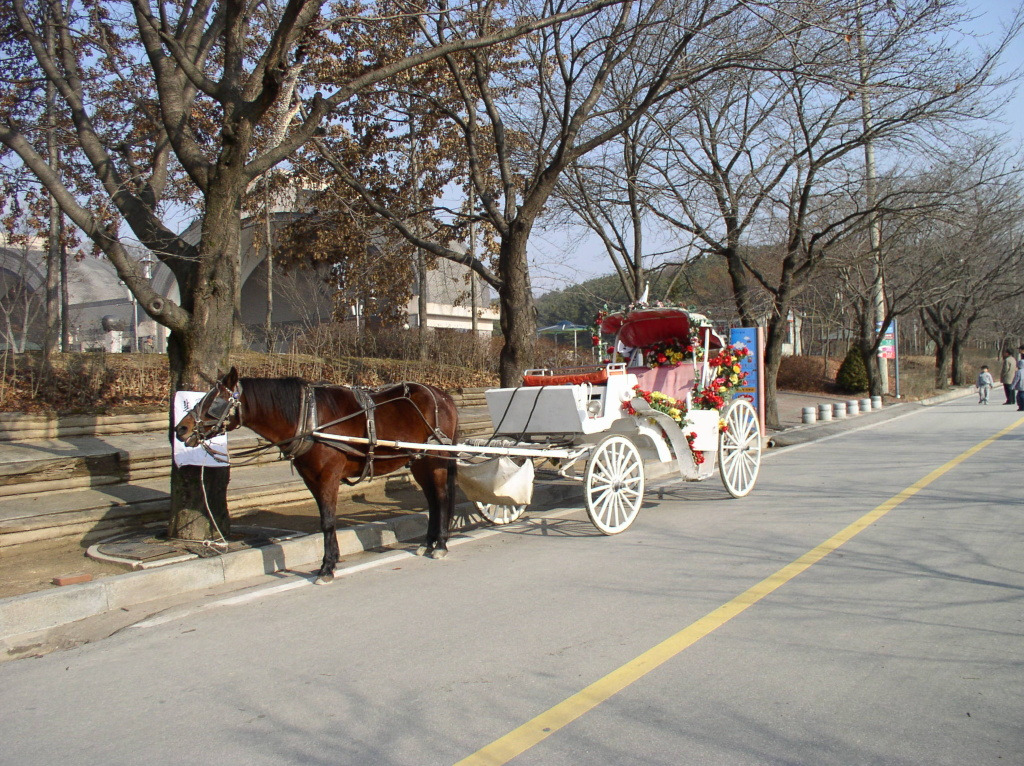 �̹����� Ŭ���ϸ� ������ ���� �� �ֽ��ϴ�.