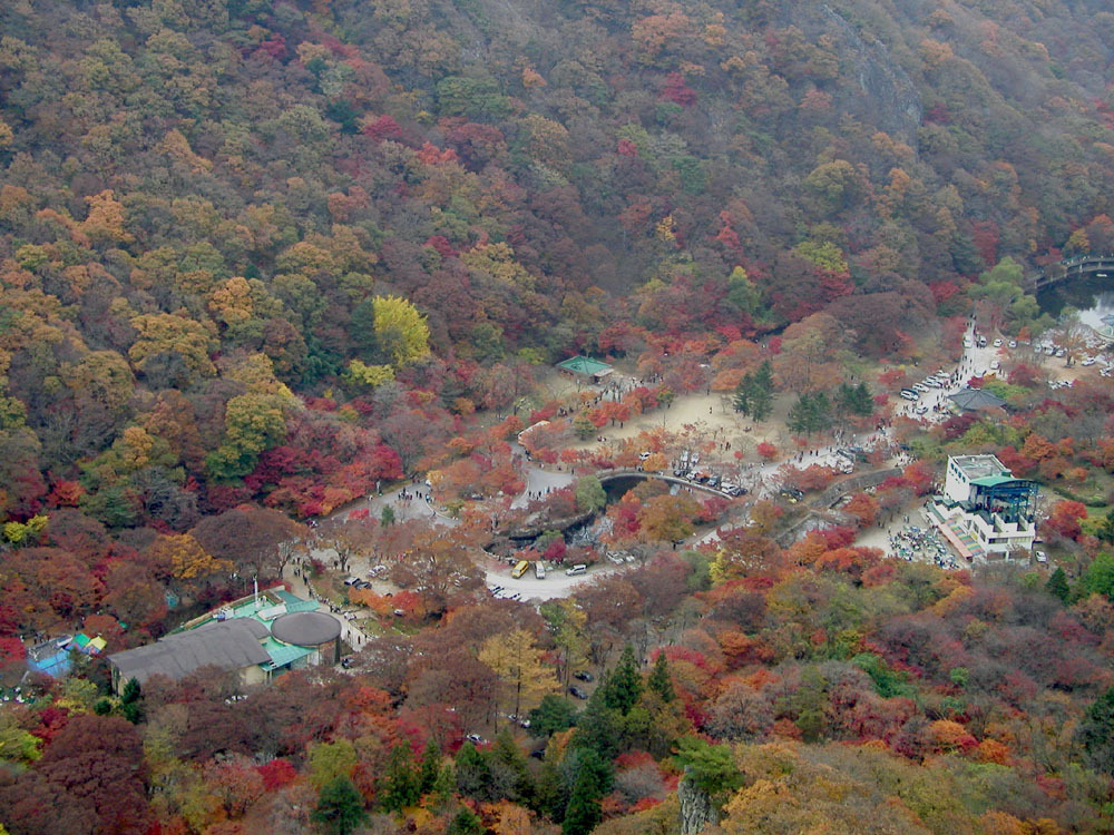 선학주유소 이미지