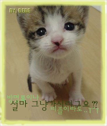 독수리오형제 이미지